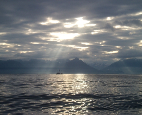 Sitka Whale Watching Excursions